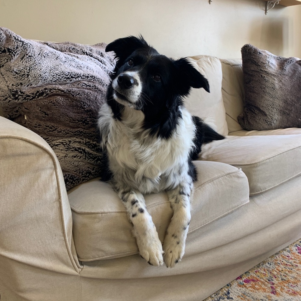 Smoke-Free & Dog Friendly Home!